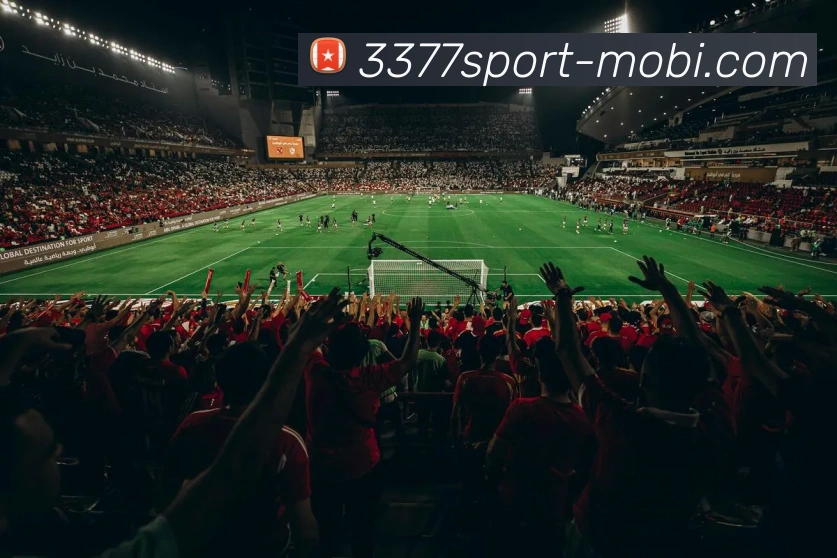 3377体育平台生态图