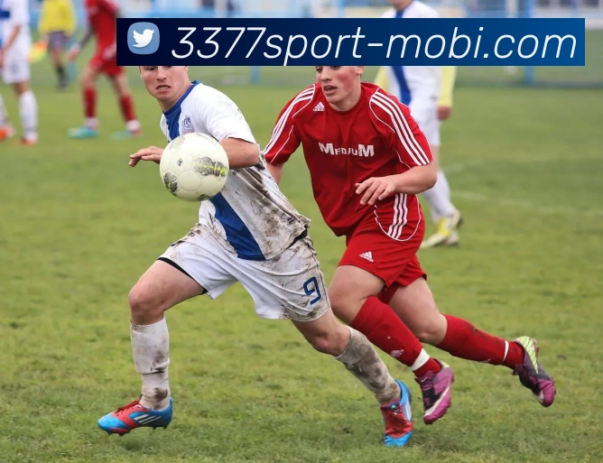 3377体育APP 封面图